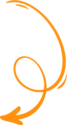 orange arrow pointing to this section